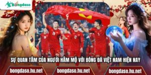 Sự Quan Tâm Của Người Hâm Mộ Với Bóng Đá Việt Nam Hiện Nay