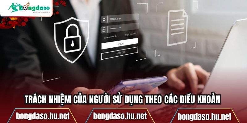 Trách nhiệm của người sử dụng theo các điều khoản 